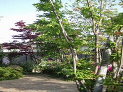 DSCF2293.JPG - 26,231BYTES